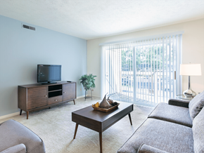 Mishawaka townhouse for rent - A living room with a grey couch, a wooden coffee table, a television, and a plant.