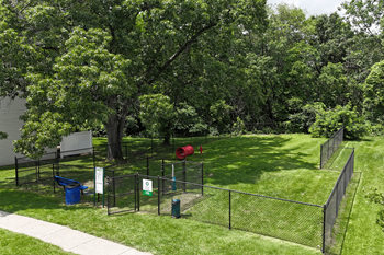 Dog park