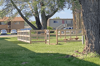 Dog park