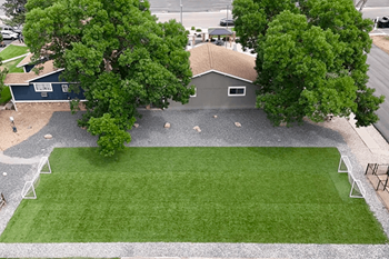 Soccer field turf