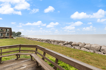 Lake erie views