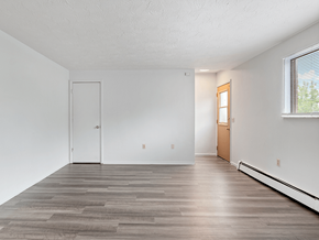 Sandusky apartment for rent - apartment living room with white walls and wood style floors