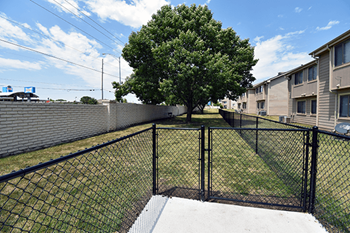 Bark park