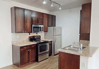 Black & stainless steel appliances