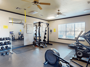 Carlsbad apartment for rent - A gym with a variety of equipment including weights, a rowing machine, and a squat rack.