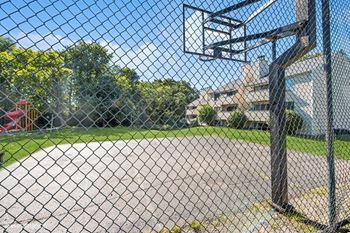 Basketball court