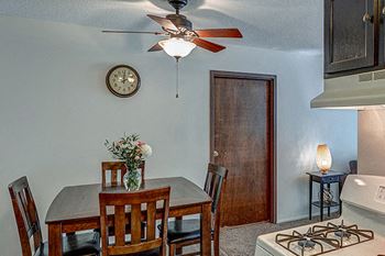 Ceiling fan