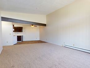 Burnsville apartment for rent - A large empty room with a carpeted floor and a ceiling fan.
