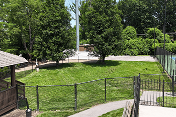 Dog park