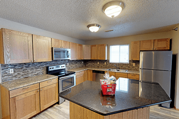 Stainless steel appliances*