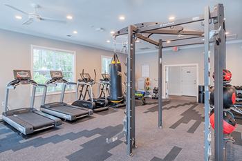 Professional fitness center