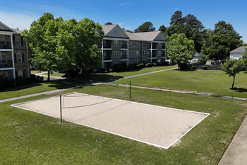 Volleyball court