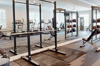 Free weight section