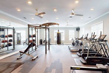 Professional fitness center
