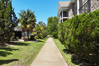 Pristine landscaping