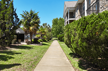 Pristine landscaping
