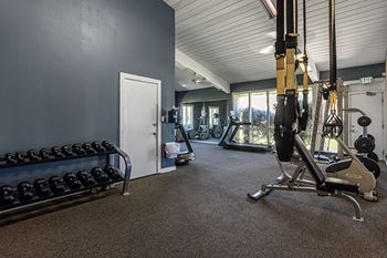 Fitness center with free weights