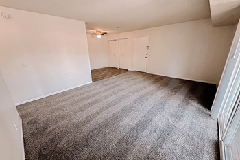 Carpeting