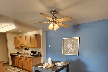 Ceiling fans