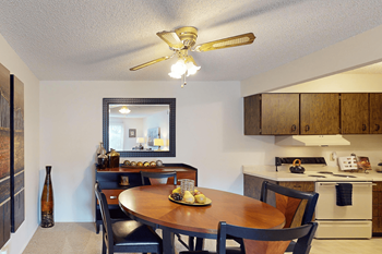 Ceiling fan