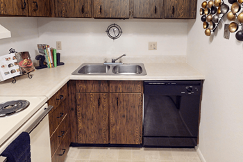 Dishwasher and disposal