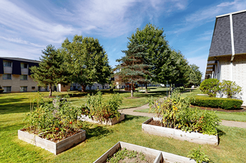 Community garden