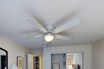 Ceiling fans in primary bedroom