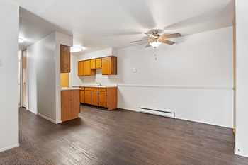 Ceiling fan