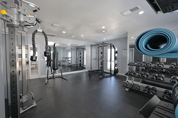 Modern fitness center