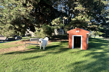 2 Acre dog park