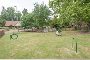 Jackson apartment for rent - Dog park at Woods of Post House Apartments in Jackson, TN