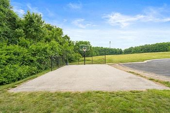 Basketball court