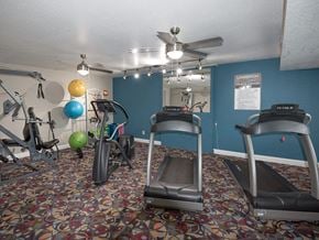 Grand Rapids apartment for rent - a gym with exercise equipment and a ceiling fan