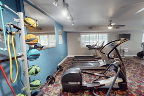 Grand Rapids apartment for rent - A gym with a row of treadmills and exercise balls on the wall.