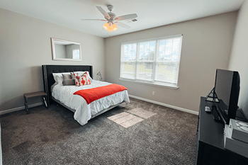 Plush carpeting