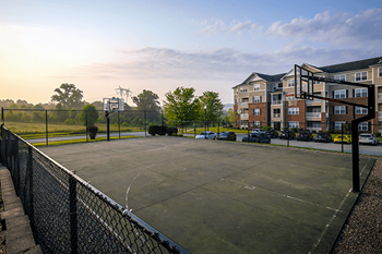 Tennis and basketball courts