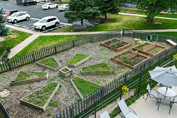Community garden