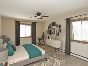 Brooklyn Park apartment for rent - Spacious bedroom w ith 2 windows and overhead light