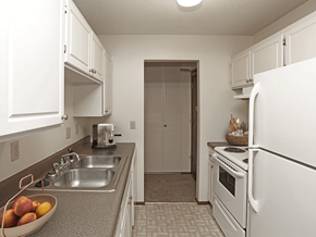 Brooklyn Park apartment for rent - Kitchen in a windsor gates aparmtnets with double sink