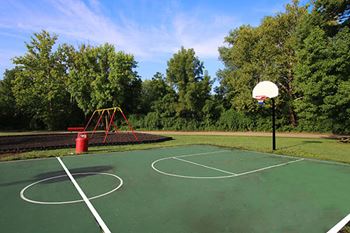 Basketball court