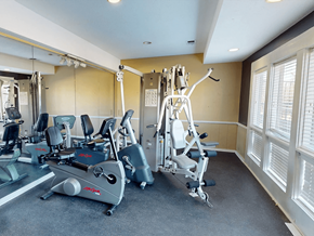 Maryland Heights apartment for rent - A gym with a treadmill, elliptical trainer and a weight machine.