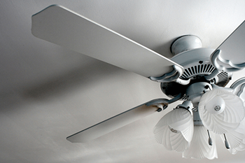 Ceiling fans throughout