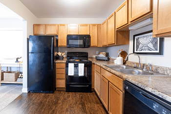 Black energy-efficient appliances