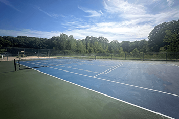 Pickleball & tennis court