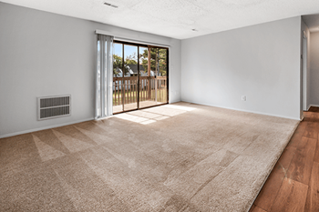 Plush carpeting