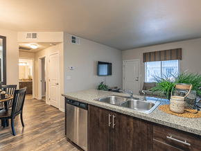Minot apartment for rent - Apartment kitchen with a stainless steel dishwasher and a double bowl sink