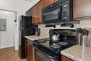 Black & stainless steel appliances
