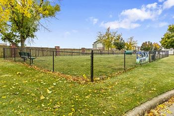 Dog park