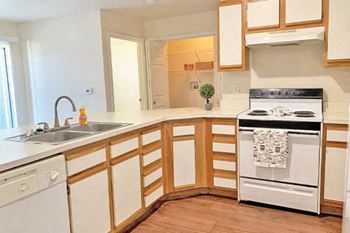 Gourmet, all electric kitchens
