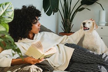 Pet friendly